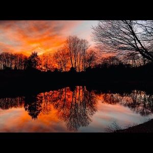 Meet your Posher, Cory